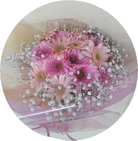 ����ԁ@���ԉԑ�/�s���N�K�[�x���u�[�P